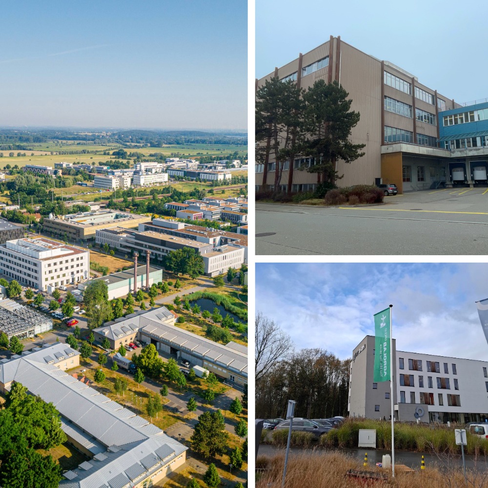 Start ins Jubiläumsjahr 2026